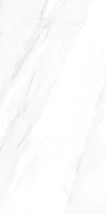 EC Calacatta Gold Matte 30 x 60 EC Calacatta Gold Matte 30 x 60